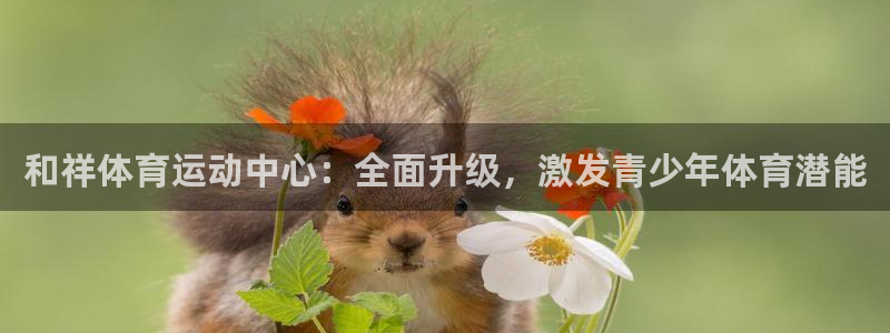 k1体育app官网登录入口：和祥体育运动中心：全面升级，激发青少年体育潜能