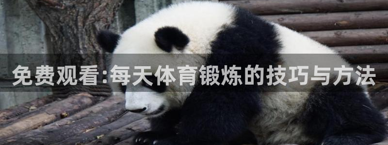 k1体育 十年品牌：免费观看:每天体育锻炼的技巧与方法