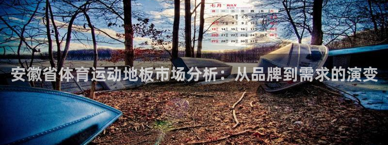 k1体育棋牌网址：安徽省体育运动地板市场分析：从品牌到需求的演变