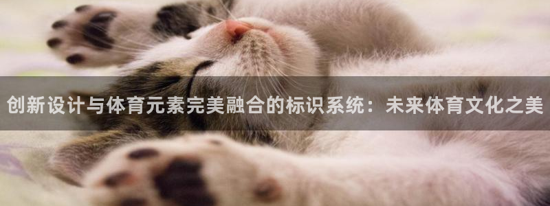 k1体育平台最新网站下载：创新设计与体育元素完美融合的标识系统：未来体育文化之美