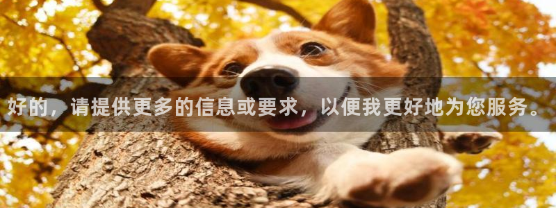 k1体育app：好的，请提供更多的信息或要求，以便我更好地为您服务。