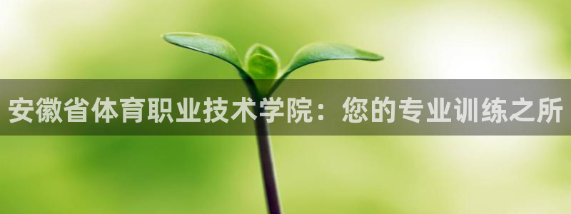 k1体育网址：安徽省体育职业技术学院：您的专业训练之所