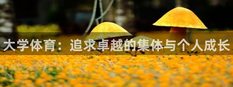 k1体育十年品牌值得信赖网址：大学体育：追求卓越的集体与个人成长