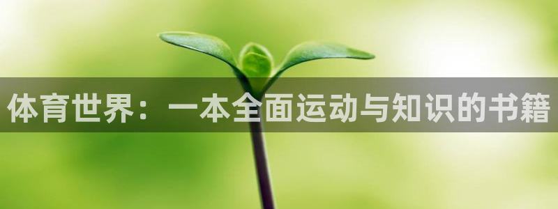 k1体育十年品牌：体育世界：一本全面运动与知识的书籍